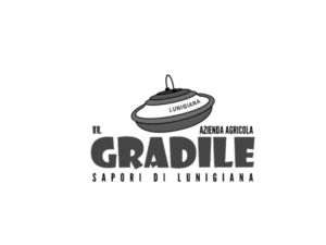 gradile 2-PhotoRoom.png-PhotoRoom