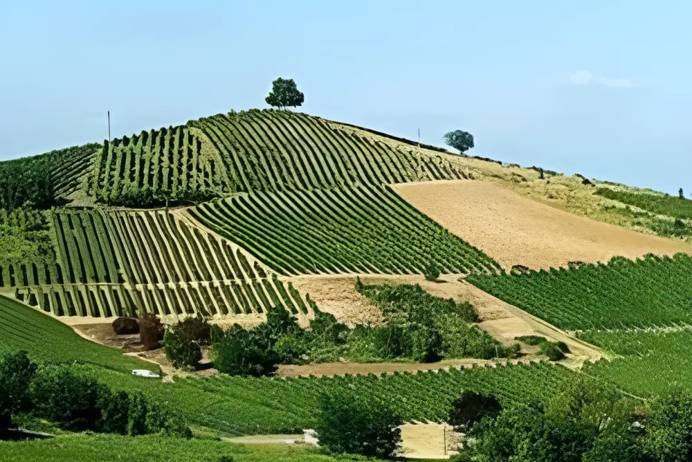 Territorio-1-2