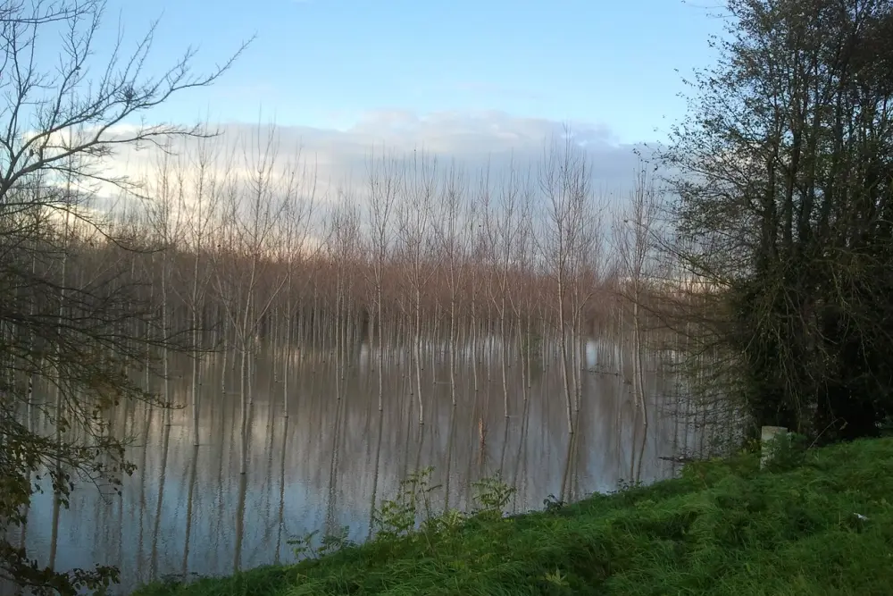 Territorio 1
